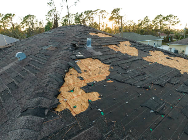 Best Roof Insulation Installation  in Stuart, VA